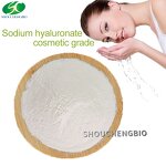 Sodium Hyaluronate Manufacturer - OEM/ODM Best Price Small Molecules Cosmetics