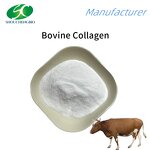 Bovine Collagen Peptide Manufacturer - OEM/ODM High Quality Hydrolyzed Beef