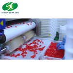 Collagen Gummies Manufacturer - OEM/ODM Collagen Biotin Vitamin Gummy