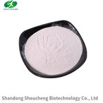 Marine Cartilage Extract Powder Manufacturer - OEM/ODM Hot Sale Proteoglycan