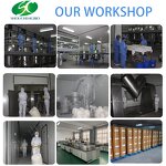 Glucosamine Supplements Manufacturer - OEM/ODM Sulfate 2kcl 99% with Chondroitin