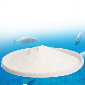 Marine Collagen Peptides Manufacturer - OEM/ODM Fish for Anti-Aging Skin Care
