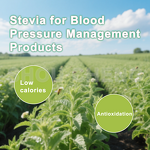 Stevia Sugar Manufacturer - Wholesale Extract Powder 90% Stevioside