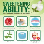 Stevia Extract Powder Manufacturer - Wholesale 90% Stevioside Bulk 1 kg