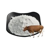 Sodium Chondroitin Sulfate Manufacturer - OEM/ODM 90%/95% Food Grade CAS