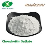Chondroitin Sulfate Powder Manufacturer - OEM/ODM 90%-105% USP EP HALAL