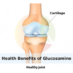 Glucosamine Sulfate Powder Manufacturer - OEM/ODM Health Supplements Usp Grade