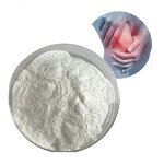 Chondroitin Sulfate Powder Manufacturer - OEM/ODM Bulk 90% Chondroitin