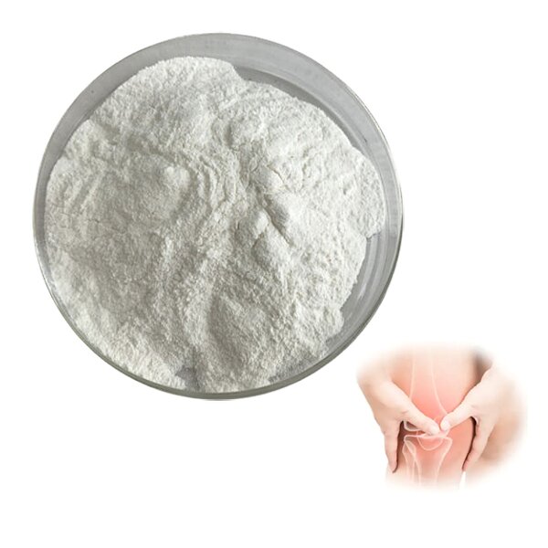Chondroitin Sulfate Powder Manufacturer - OEM/ODM Bulk 90% Chondroitin