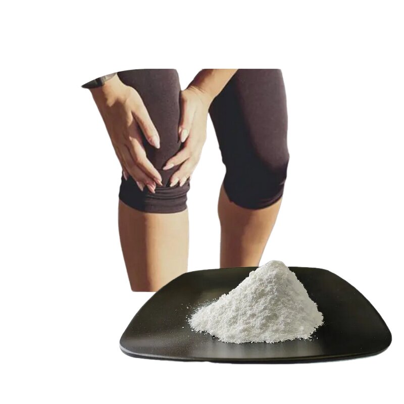 Chondroitin Sulfate Sodium Powder Manufacturer - OEM/ODM USP EP 90% 95% 98%