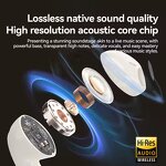 Earphones Manufacturer - OEM/ODM Honatop 2024 H12 PRO+ ANC Sport