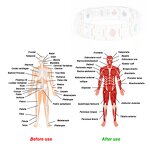 Titanium Steel Energy Bangle Supplier - 2025 Popular Ladies Adjustable Anti-fatigue