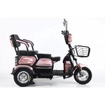 Electric Tricycle Manufacturer - Wholesale for Adults Elderly High Quality
