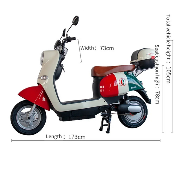 E Bike Manufacturer - Factory Direct Sales Made in China Storage Adult