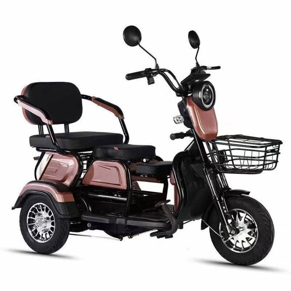Electric Tricycle Manufacturer - OEM/ODM New Style Double Seat Adult 3 Wheel
