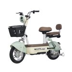 Electric Bike Manufacturer - Factory Price Fashion Two-person 350w48v