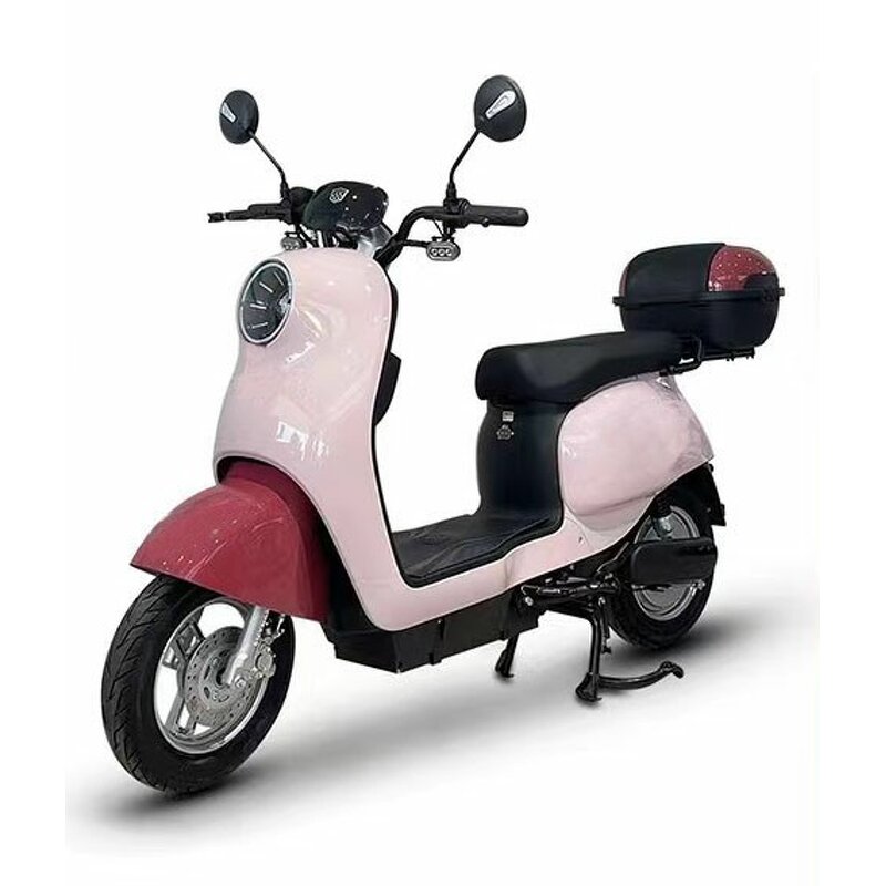 Electric Bicycle Manufacturer - Made in China 48V500w Hot Selling Two-wheel