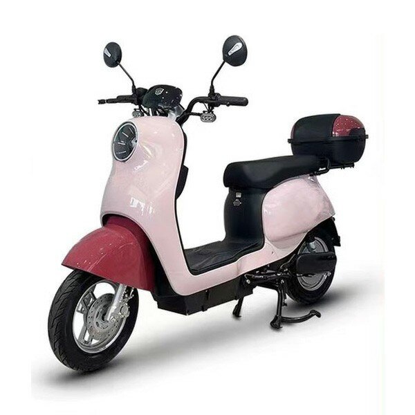 Electric Bicycle Manufacturer - New Model Direct Sales Including Batteries