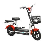 Electric Bicycle Manufacturer - Factory Direct Sales 350w Customizable Color