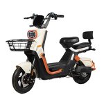 Electric Bicycle Manufacturer - Factory Wholesale Adult City Lead-acid
