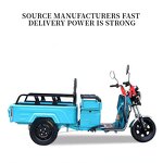 Electric Tricycle Manufacturer - OEM/ODM High-power 3 Wheel Export Elderly