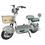 Electric Bike Manufacturer - Factory Price Fashion Two-person 350w48v