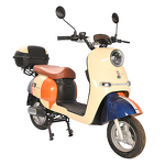 E Bike Manufacturer - Factory Direct Sales Made in China Storage Adult