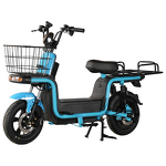 Storage Electric Bicycle Manufacturer - OEM/ODM Electric Bike with Trunk