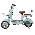 Electric Bicycle Manufacturer - OEM/ODM City Road 48V Lead-Acid 350W/500W