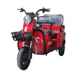 Electric Tricycle Manufacturer - OEM/ODM 48V/60V High Quality 600W Freight