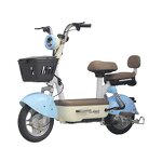 Electric Bike Manufacturer - Factory Price Fashion Two-person 350w48v