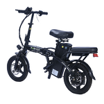 Folding E Bike Manufacturer - Wholesales Hot Sale Cheap Price Adult City
