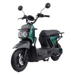Electric Car Manufacturer - OEM/ODM 500w Motor Two-wheeler Road Sports