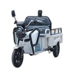 Electric Tricycle Manufacturer - OEM/ODM 2025 3-wheel 800w High-power Cargo