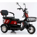 Electric Tricycle Manufacturer - OEM/ODM New Style Double Seat Adult 3 Wheel