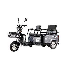 Electric Tricycle Manufacturer - OEM/ODM Adult City 48V 20Ah 600W Three-wheeled