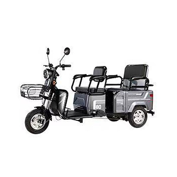Electric Tricycle Manufacturer - OEM/ODM Adult City 48V 20Ah 600W Three-wheeled