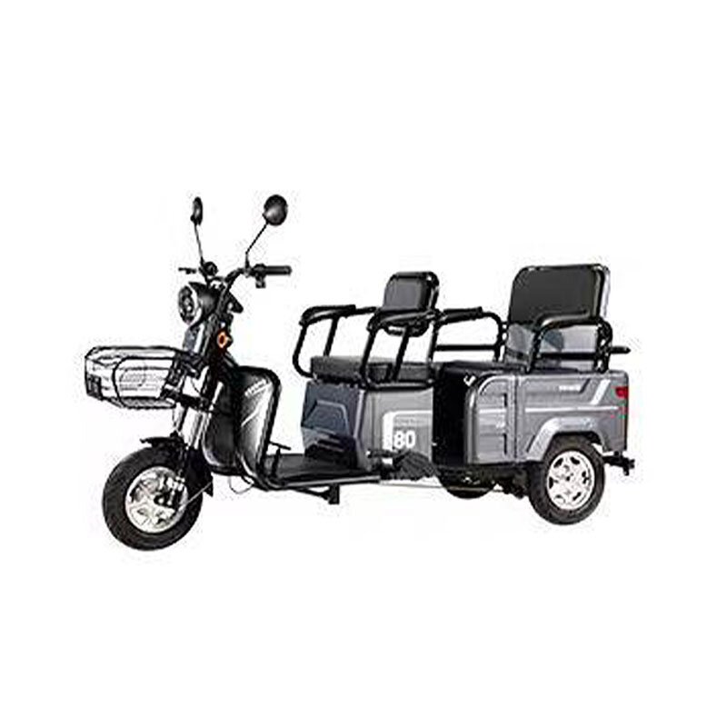 Electric Tricycle Manufacturer - OEM/ODM Adult City 48V 20Ah 600W Three-wheeled