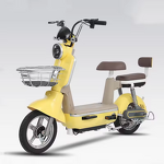 Electric Bicycle Manufacturer - OEM/ODM City Road 48V Lead-Acid 350W/500W