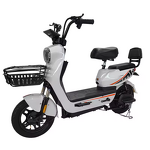 Electric Bike Manufacturer - Factory Price Color Can Be Customized Hot