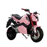 Electric Motorcycle Manufacturer - Factory Direct Sales 1500w 55-70km