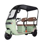 Electric Tricycle Manufacturer - OEM/ODM 800W Motor Leisure 48v 3-Wheel Steel