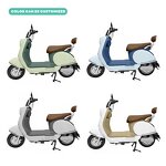 Electric Scooter Manufacturer - OEM/ODM New Best Selling 500W-100W Wholesale