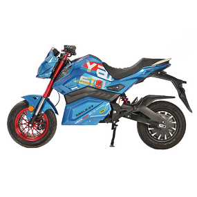 Electric Motorcycle Manufacturer - Factory Direct Sales 1500w 55-70km