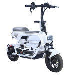 Folding Electric Bike Manufacturer - OEM/ODM Full Suspension Variable Speed