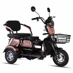 Electric Tricycle Manufacturer - Wholesale for Adults Elderly High Quality