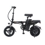Folding Electric Bike Manufacturer - OEM/ODM Hot Sale Two Seat Portable