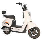 Electric Bicycle Manufacturer - OEM/ODM 2024 Cheap City Leisure Two Wheeled