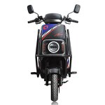 Electric Motorcycle Manufacturer - OEM/ODM High Speed Cargo 60-75km/h Moped