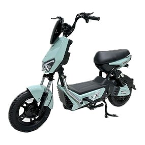 Electric Bicycle Manufacturer - OEM/ODM 500w Adult 2-wheel with Lead-acid